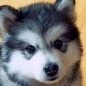 Meet your Posher, Ty