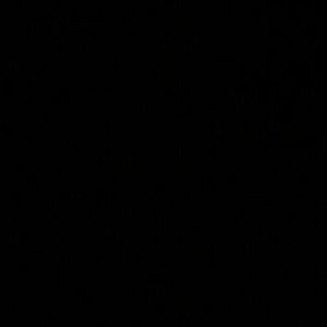 Meet your Posher, Yanira