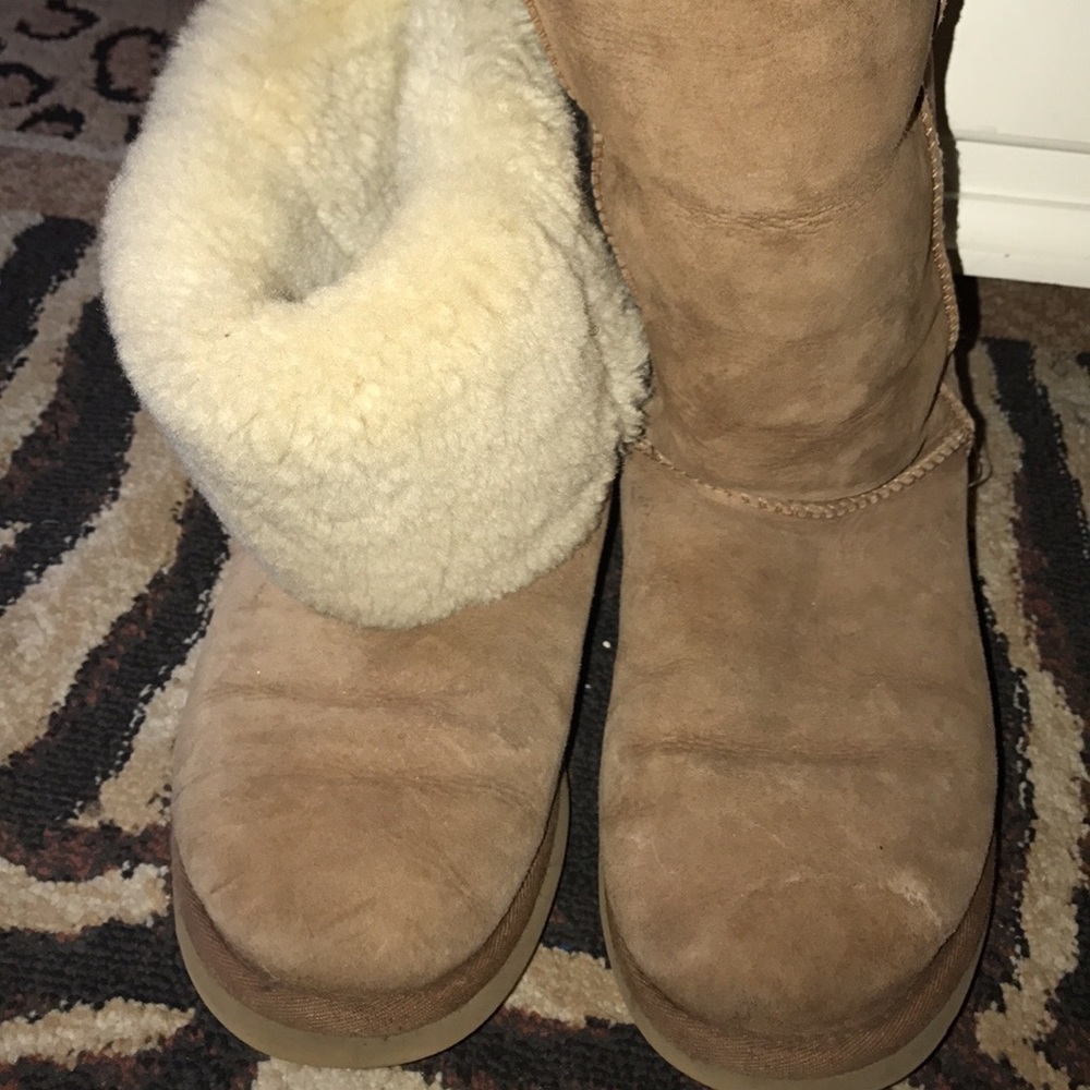 Tall Chestnut Uggs