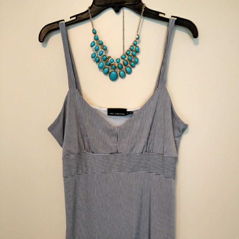 The Limited Striped Tank- Perfect Condition