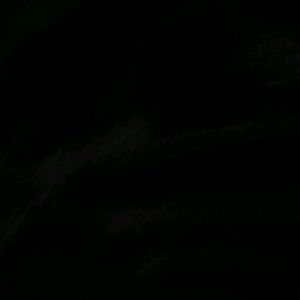 Meet your Posher, Antonio