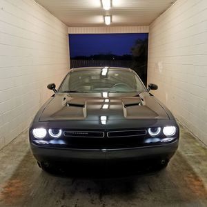 Meet your Posher, Brandon