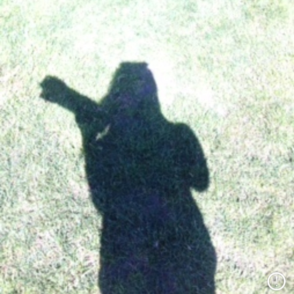 Meet your Posher, Lani