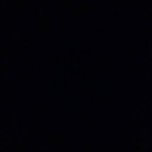 Meet your Posher, Pearl