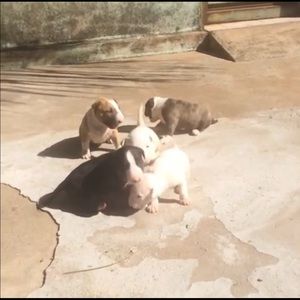 Meet your Posher, Edwin