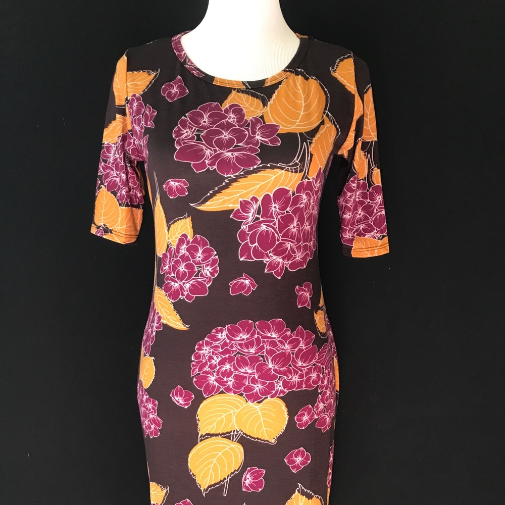 USED LulaRoe Julia Dress