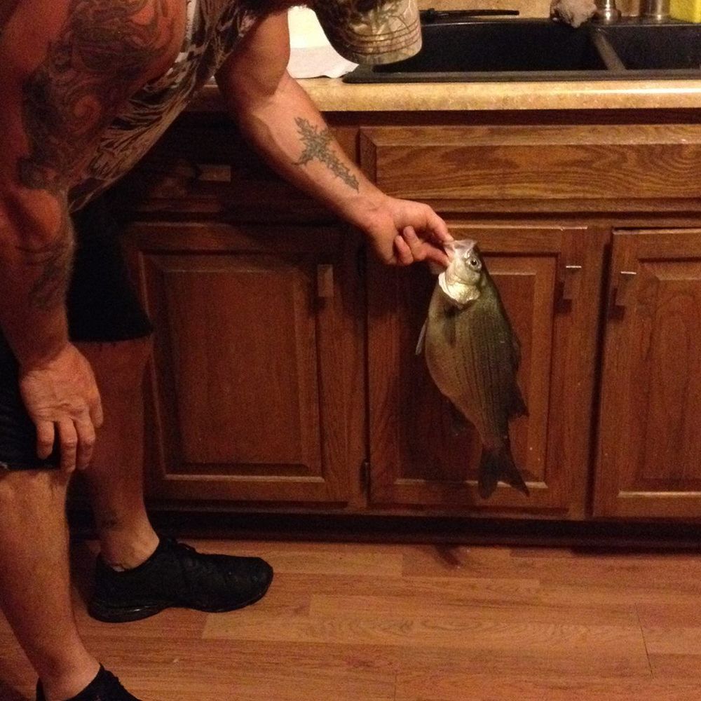 Meet your Posher, Will