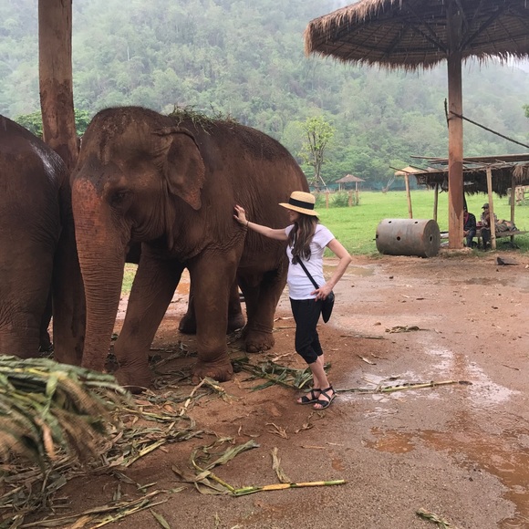 Meet the Posher - Picture 2 of 8