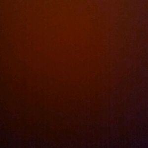 Meet your Posher, Logan