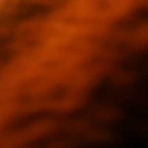 Meet your Posher, Gary