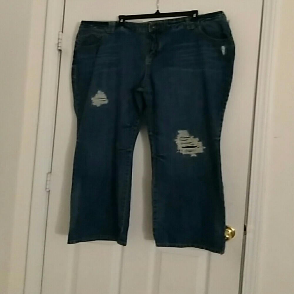 Distressed Lane Bryant Denim Jeans, Size 26 Avg