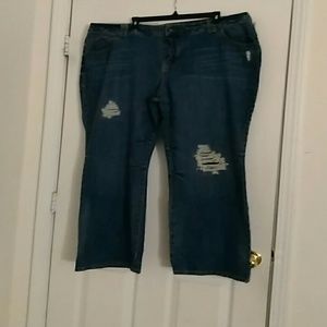 Distressed Lane Bryant Denim Jeans, Size 26 Avg