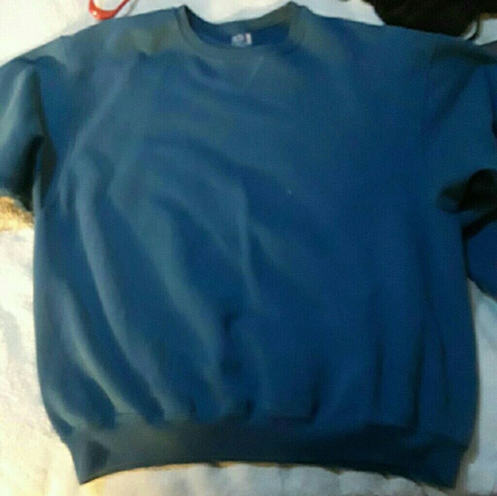 Fruit of the loom sweatshirt