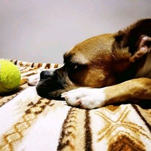 Meet your Posher, Shawn