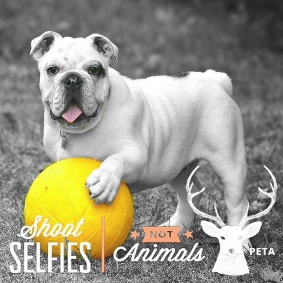 Meet your Posher, Julie - Picture 1 of 1