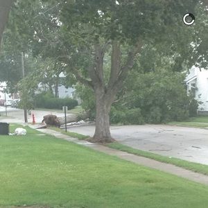 Meet your Posher, Wendell