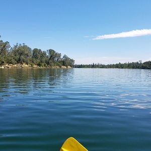 Meet your Posher, Dani