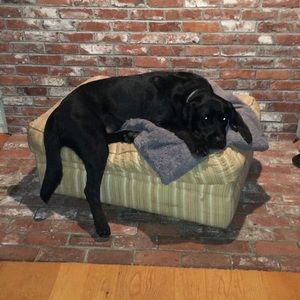 Meet your Posher, Connor