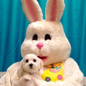 Meet your Posher, Michele