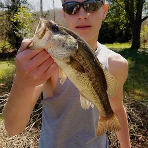 Meet your Posher, Paul