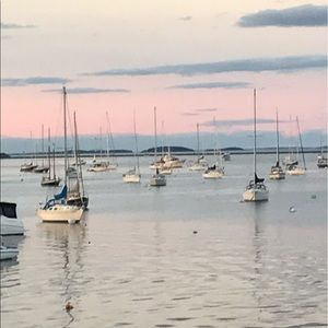 Meet your Posher, Donna