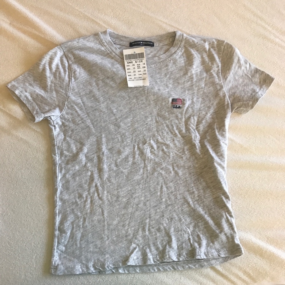 NWT Brandy Melville USA flag tee