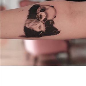 Meet your Posher, Dolores