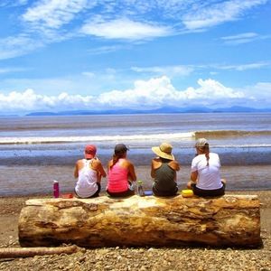 Meet your Posher, Paige