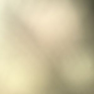 Meet your Posher, Rick