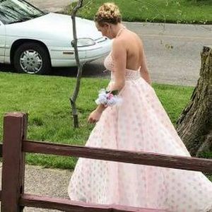 Meet your Posher, Princess