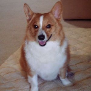 Meet your Posher, Mildred