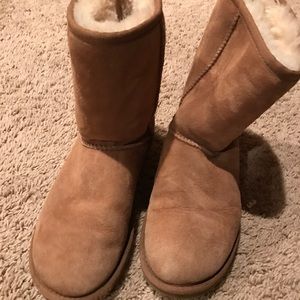 Chestnut Ugg Boots