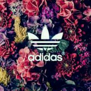 Meet your Posher, Fredrika