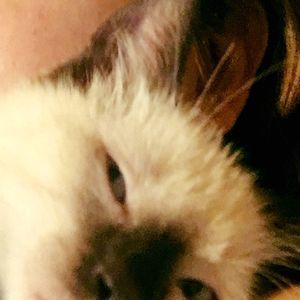 Meet your Posher, Belinda