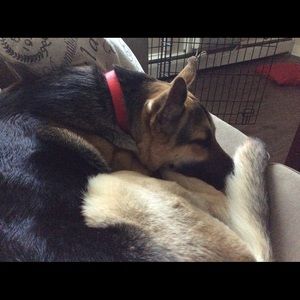 Meet your Posher, Alexa