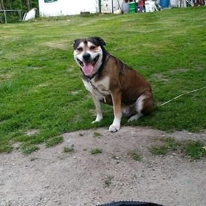 Meet your Posher, Derick