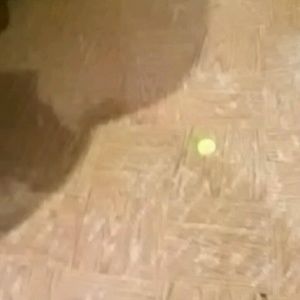 Meet your Posher, Ermar