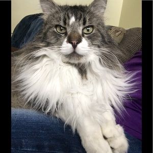 Meet your Posher, Paula