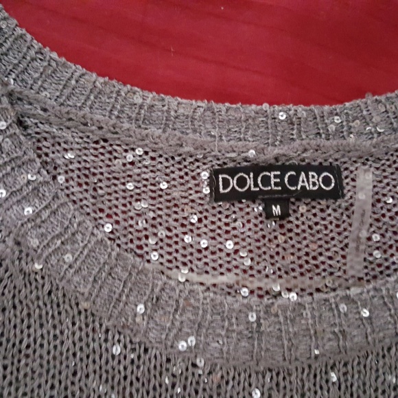 Dolce Cabo silver sequined long sleeve top - Picture 2 of 5
