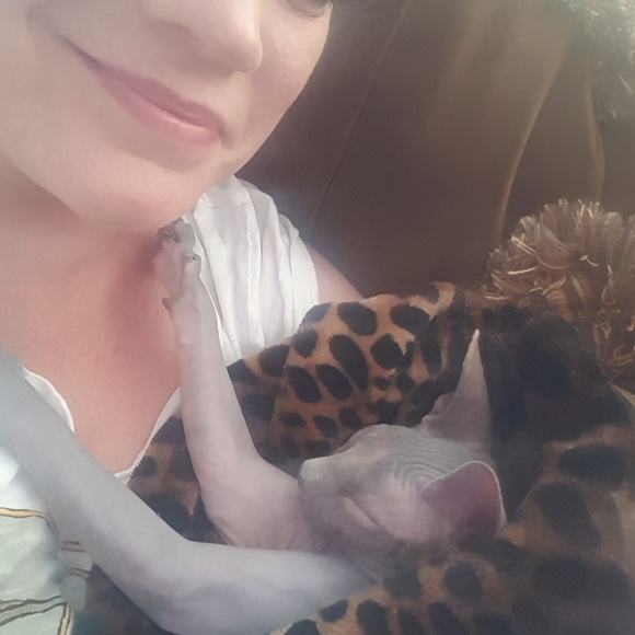 Lesley Posh Ambassador II & Sphynx Lover - Picture 3 of 11