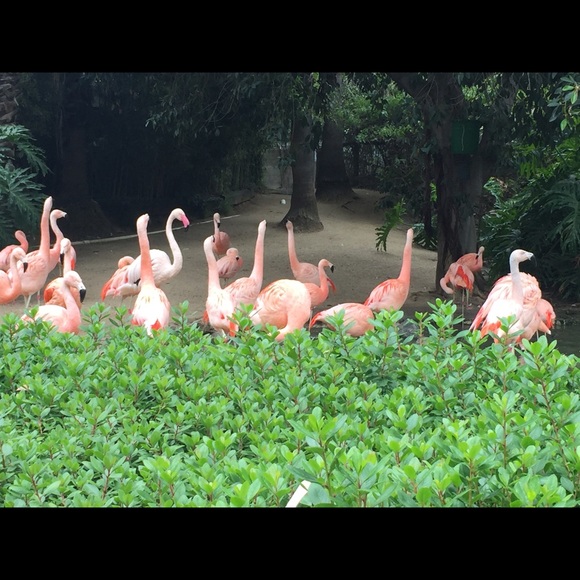 Meet your Posher, Dianna - Picture 1 of 1