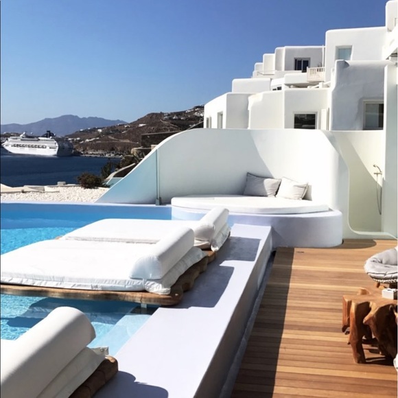 Meet your Posher, Joey - Picture 1 of 1