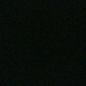 Meet your Posher, Dante