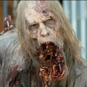 Meet your Posher, Cheyenne