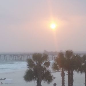 Meet your Posher, Luke