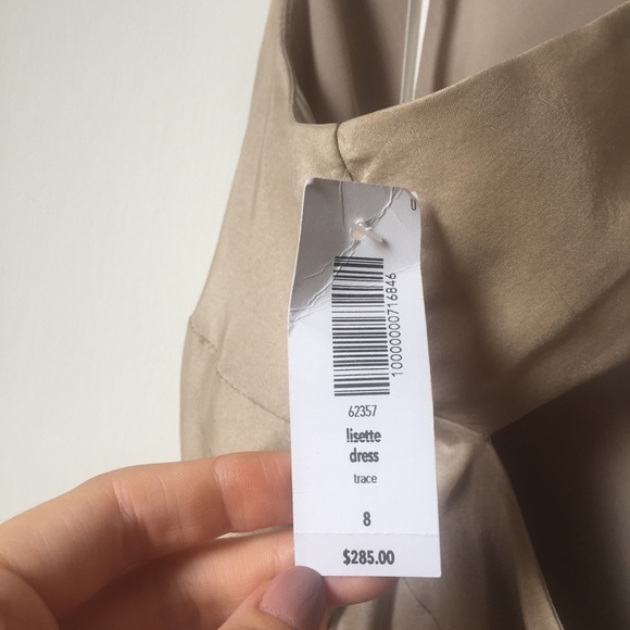 ❌ SOLD ❌ NWT Aritzia Babaton Lisette Silk Dress - Picture 7 of 8