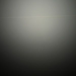 Meet your Posher, Laney