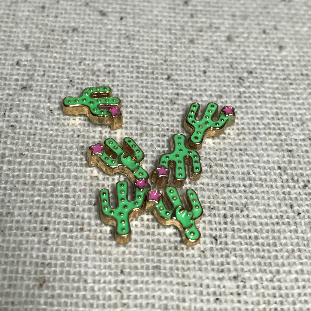 Cactus origami owl charms