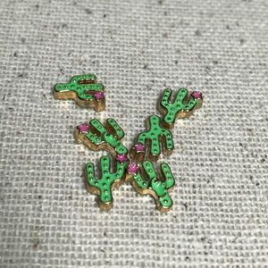 Cactus origami owl charms