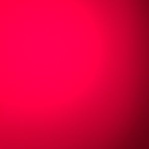 Meet your Posher, Leila